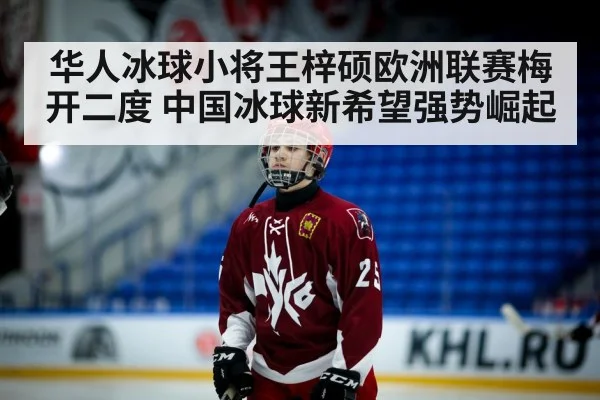 young asian ice hockey player on ice