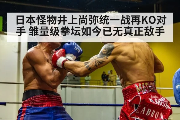 日本怪物井上尚弥统一战再KO对手 雏量级拳坛如今已无真正敌手