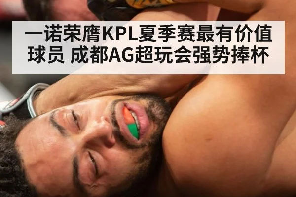 一诺荣膺KPL夏季赛最有价值球员 成都AG超玩会强势捧杯